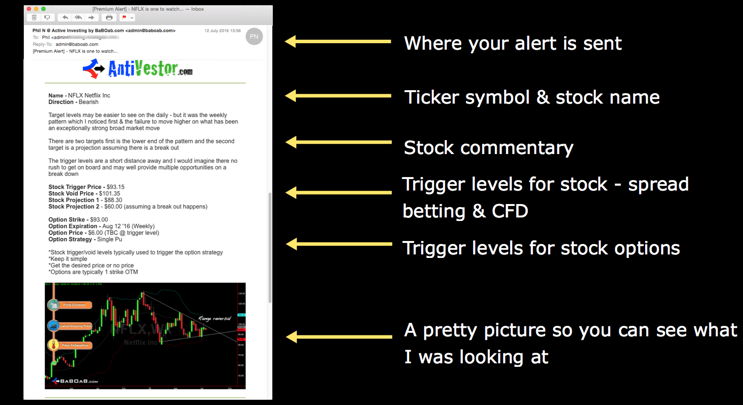 Option trading alert services