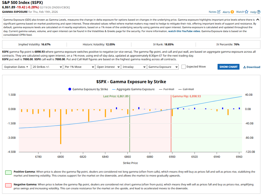 GEX Analysis 20 Feb 2026